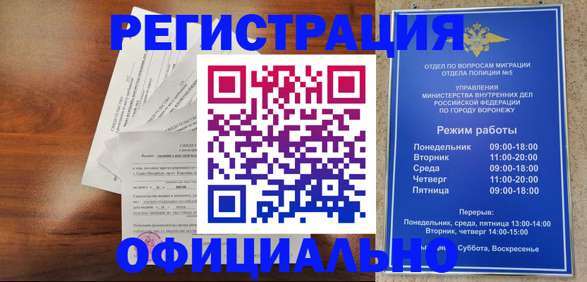 прописка поиск в Лыткарино
